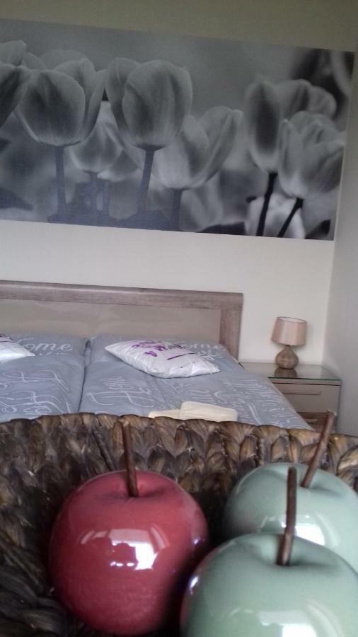 Apartment Provensal Liptovský Mikuláš Eksteriør bilde
